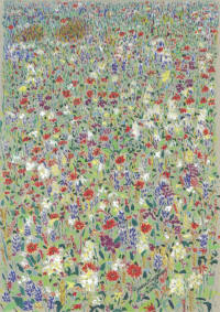 Wild Meadow