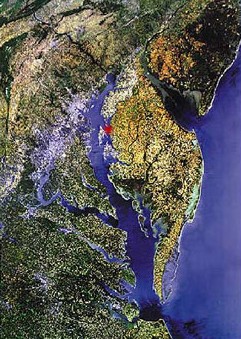 Click here to see some of our views of the bay!