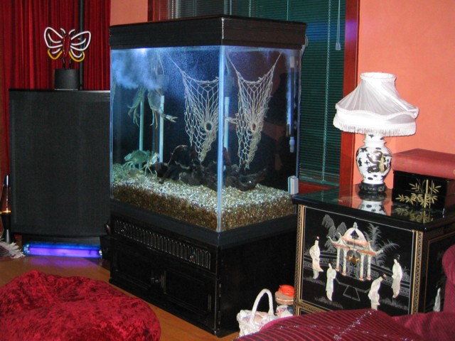 Fish Tank