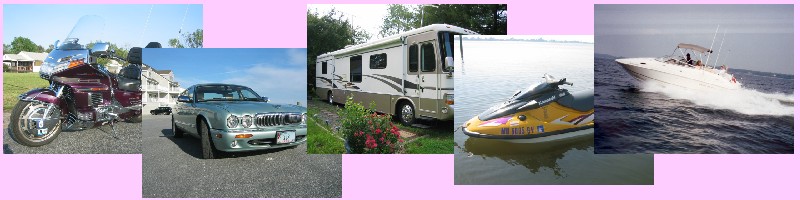 Click here to see some of our toys!